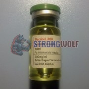 Курс Деки СОЛО