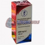 Testoged-E 250mg (Тестогед), Golden Dragon