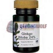 Ginkgo [Гинкго Билоба] (60 мг x 30 капс), Swanson