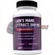 Lion's Mane [Львиная грива] (500 мг x 60 капс), Protein Company
