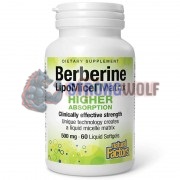 Berberine [LipoMicel Matrix] (60 шт по 500 мг), Natural Factors